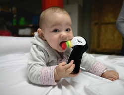Hencz Toys Tukado - pískací edukační hračka
