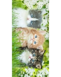 Dětská osuška froté Carbotex -  CATLOVER SISTER se zelenou - 70140cm