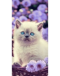 Dětská osuška froté Carbotex -  CATLOVER s fialovou - 70x140cm